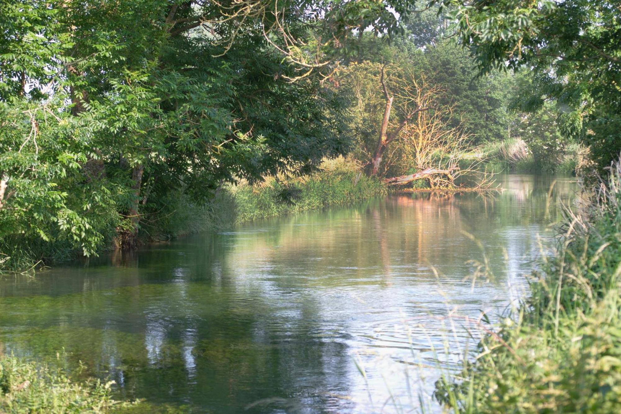 Landgasthof Adler Rammingen Εξωτερικό φωτογραφία