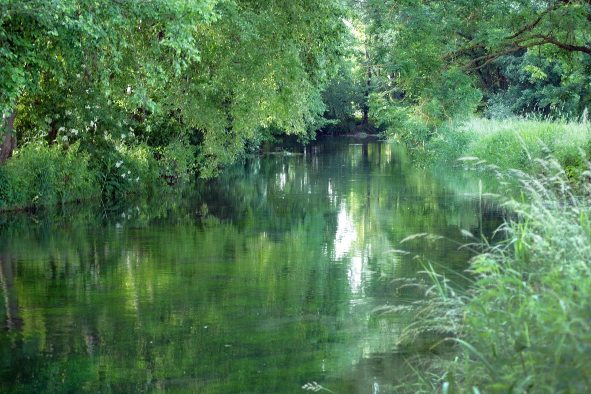 Landgasthof Adler Rammingen Εξωτερικό φωτογραφία